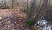 Trail Walking Javernant - Javernant 15km le 31.01.2022 - Photo 3