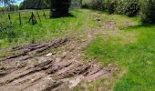 Trail Walking Borée - reco 11- Suc de la Lauzière - Photo 1