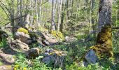 Trail Walking Chambon-sur-Lac - BOUCLE AUTOUR DE LA COUZE DE SURAINS - Photo 4