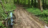 Trail Mountain bike Magny-Vernois - magny Vernois, la grange du vau, amblans, vy - Photo 2