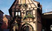 Percorso Marcia Saint-Hippolyte - St Hippolyte - Bergheim - château Reichenberg - Photo 10