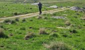 Tocht Stappen Les Hermaux - Rando Lozère.. Rajas..Malailhebiai. - Photo 14