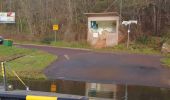 Tocht Te voet Wettin-Löbejün - Rundweg Nußgrund Tannengrund Rothenburg - Photo 10