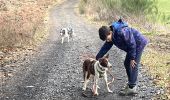 Tocht Stappen Neufchâteau - Bois d’Ospau avec Nafi - Photo 4