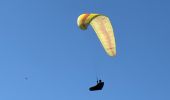 Trail Walking Le Bar-sur-Loup - Callivore2 - Photo 12