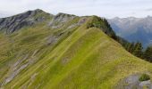 Randonnée Marche Jarrier - jarrier -col de cochemin - Photo 9