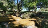 Trail Walking Le Tholy - sentier du blaireau jusqu'en Ecosse - Photo 3