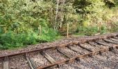 Percorso Marcia Bort-les-Orgues - Chute de la Saule - Photo 8