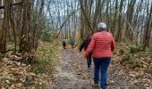 Tour Wandern Varacieux - Combe Robert depuis Essemat - Photo 8