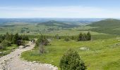 Tour Wandern Borée - Le tour du Mont Mézenc en Ardèche - Photo 2