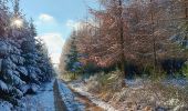 Randonnée Marche Theux - bronromme, premières neige hivers 23-24 - Photo 6