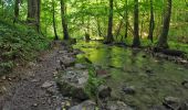 Tocht Te voet Kirchberg an der Murr - Naturlehrpfad - Photo 3