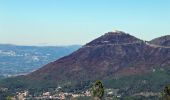 Tour Zu Fuß Ermelo e Pardelhas - Caminhos da Senhora da Graça: Ermelo - Senhora da Graça - Photo 8