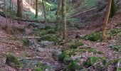 Trail Walking Thiéfosse - tiens vagbey gorge de croqery - Photo 1