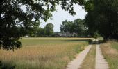 Tour Zu Fuß Lochem - Quatre Brasroute - Photo 1