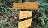 Tour Wandern Capesterre-Belle-Eau - Deuxième chute du Carbet - Photo 1