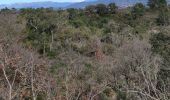 Trail On foot Roquebrune-sur-Argens - z les bois de Roquebrune 11-02-20 - Photo 5