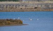 Trail Walking Roquebrune-sur-Argens - Saint-Aygulf - La Gaillarde - Etangs de Villepey - Sentier des douaniers - Photo 1