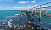 Randonnée A pied Waiheke - Rangitoto Coastal Walk - Photo 9