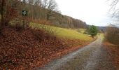 Tour Zu Fuß Dielsdorf - Regensbergweg - Photo 2