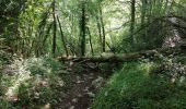 Tour Wandern Sainte-Engrâce - Pierre st martin - Photo 2