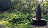 Randonnée Marche Esneux - parc du Mary. targnon . parc du Mary - Photo 16