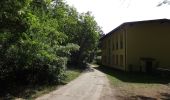 Tocht Te voet Unterspreewald - Wanderweg Neuendorf-Tschinka-Alt Schadow - Photo 6