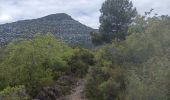 Trail Walking Saint-Jean-de-Buèges - St Jean de Buèges  - Photo 14