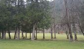 Tocht Stappen Chamonix-Mont-Blanc - Randonnée dans la Vallée de Chamonix - Photo 5