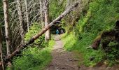 Tocht Stappen Chamonix-Mont-Blanc - Chamonix La Cascade du dard  - Photo 8