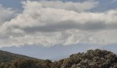 Tour Wandern Céret - mon balcon de Céret - Photo 16