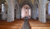 Tocht Stappen Golinhac - live Golinhac - Conques  - Photo 16