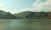 Tour Zu Fuß Lorch - Rhein-Wisper-Glück - Photo 6