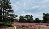 Trail Walking Zonhoven - de-wijers-de-teut-instapplaats-donderslagseweg-blauw - Photo 10