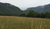 Tour Wandern Beauregard-Baret - pas de la Pierre pas de l'Aulagnier  - Photo 2