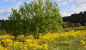 Tour Wandern Correns - Correns - Val Obscur - Rive de l'Argens - Grotte aux Fées - Châteauvert - Vallon Sourn - Photo 10