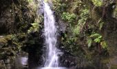 Excursión Senderismo Calheta - chemin des cascades  - Photo 3