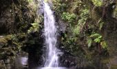 Trail Walking Calheta - chemin des cascades  - Photo 3