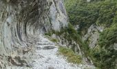 Percorso Corsa a piedi Etsaut - ETSAUT Chemin de la mâture col d Arras - Photo 8