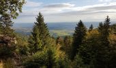 Tour Wandern Ottrott - Mont St Odile - Mur Païen - Grotte des Druides - Sentier des Merveilles - Photo 6