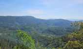 Trail Walking Belgentier - Pas de Belgentier  - Photo 18