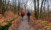 Trail Walking Vayres-sur-Essonne - Boucle 30 km à partir de Vayres / Essonne - Photo 11
