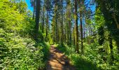 Trail Walking Durbuy - Balade à Villers Sainte Gertrude - Photo 19