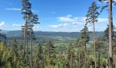 Trail Walking Saulcy-sur-Meurthe - Les roches du Kemberg - Photo 3