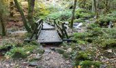 Trail Walking Tendon - Cascades de Tendon - Trou de l'Enfer - Roches de la Moulure - Photo 16