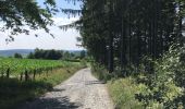 Trail Walking La Roche-en-Ardenne - Transardennaise Étape 1 - Photo 7