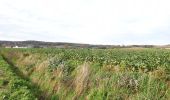 Tour Elektrofahrrad Ronse - Parcours 2/2 similaire au  Fiertel (2eme partie) - Photo 6