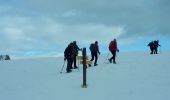 Tour Schneeschuhwandern Le Sappey-en-Chartreuse - Eimendras du dessus en circuit - Photo 8