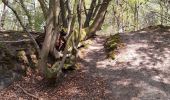 Tocht Stappen Belœil - bois stambruges - Photo 1