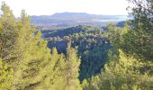 Randonnée Marche Sanary-sur-Mer - trail La Gorguette au Petit Cerveau - Photo 4